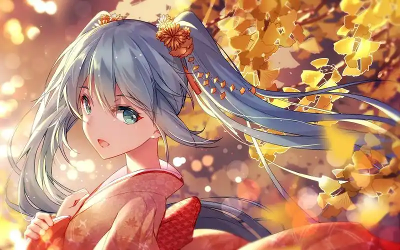 最新动漫更新